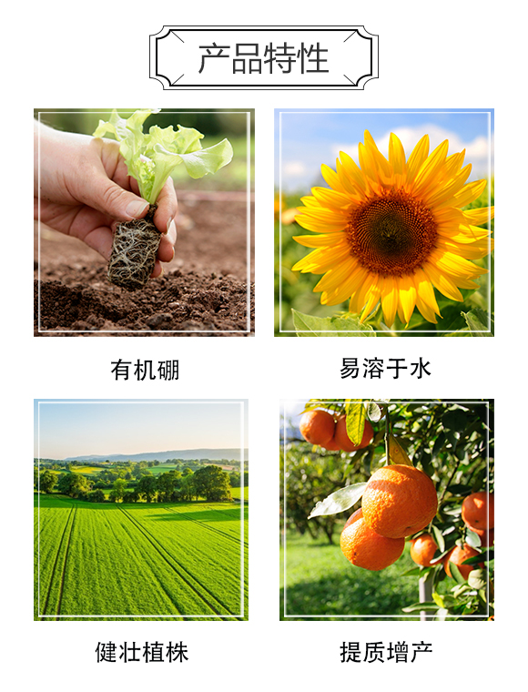 格萊富生態肥料(河北)有限公司808789_03
