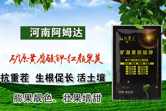 2022年3月4日國內鉀肥價格行情
