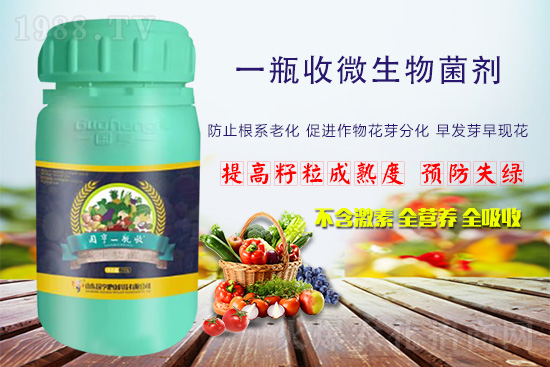 火爆農化網喜迎新盟友,攜手國亨肥業共走財富之路!