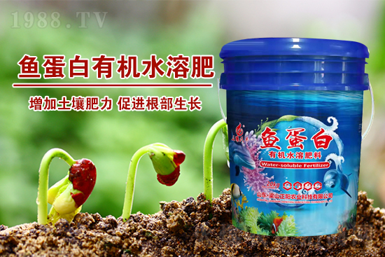 魚蛋白肥增產效果驚人!70%人不知道的內幕曝光
