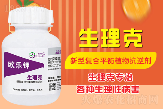番茄臍腐病有什么癥狀？怎么解決番茄臍腐病？
