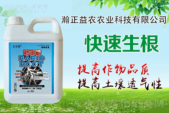 作物根系決定作物產量!這樣做,根系發達,白根多,用肥少!