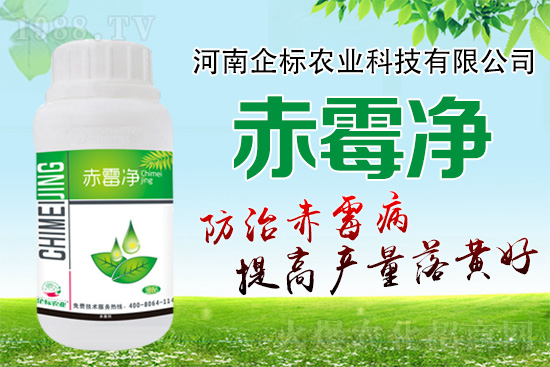 緊急提醒:未來十天是小麥赤霉病防治關(guān)鍵期!務(wù)必抓住!