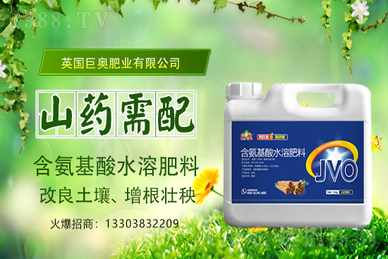 巨奧肥業有限公司1