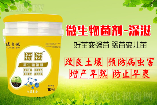 作物如何爆發式生根呢?生根養根方案快來看!