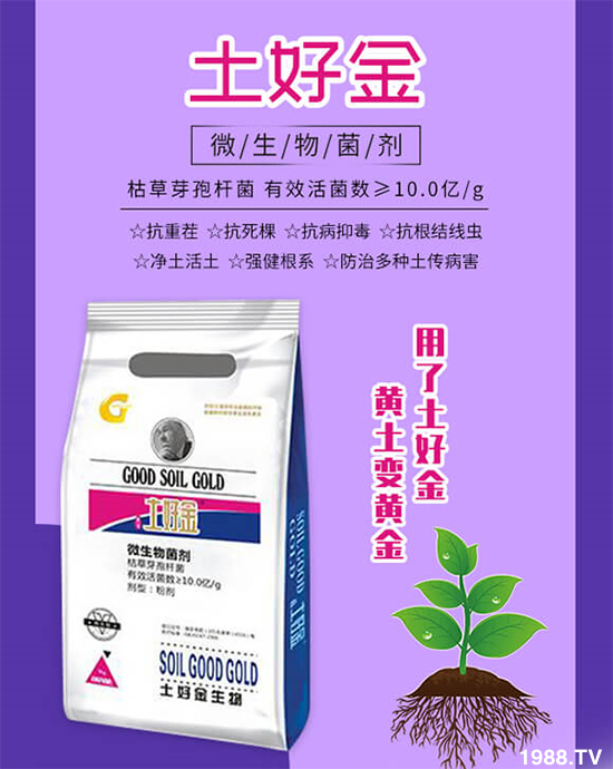 蔬菜死棵秧苗不長怎么辦?這樣防治輕松解決!