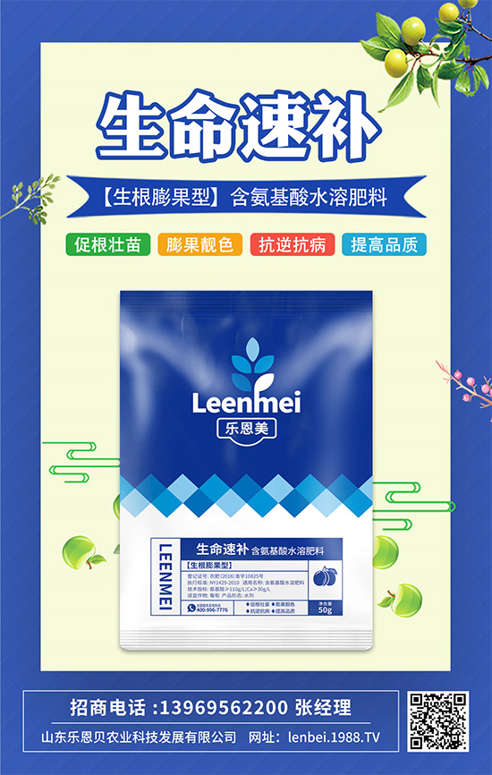作物高產靠根系!打造強大根系,從這幾點開始!