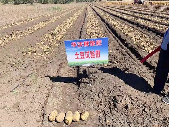 這款糖蜜肥農資圈瘋傳!原料天然,低成本高肥效開創者!