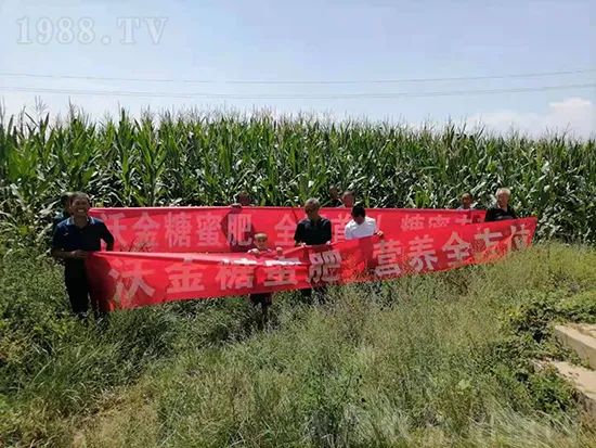 這款糖蜜肥農資圈瘋傳!原料天然,低成本高肥效開創者!