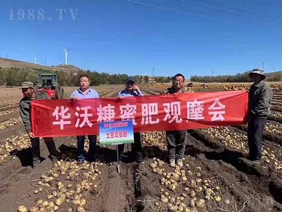 這款糖蜜肥農資圈瘋傳!原料天然,低成本高肥效開創者!