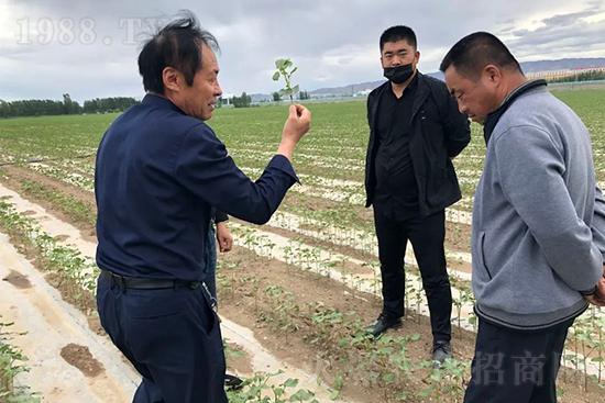 中農(nóng)化新疆北疆辦事處負責(zé)人:同路同行共發(fā)展