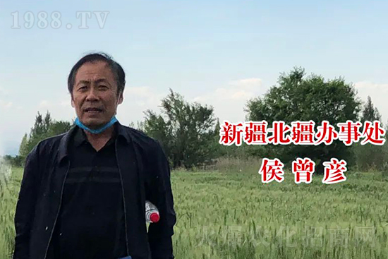 中農(nóng)化新疆北疆辦事處負責(zé)人:同路同行共發(fā)展