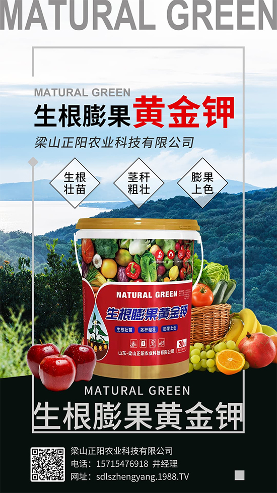 梁山正陽農業科技有限公司6
