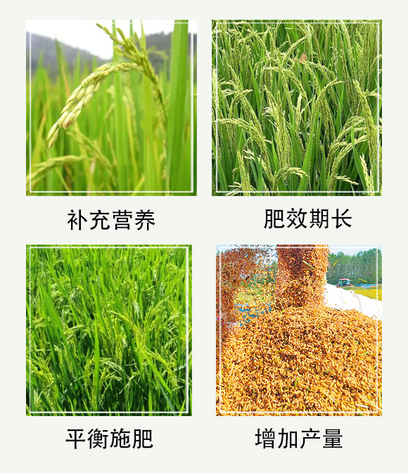 摻混肥料-大化肥業_05