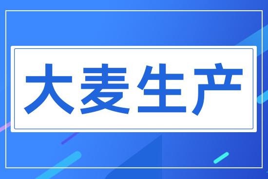 大麥生產