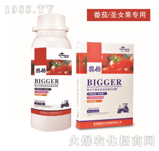 番茄圣女果專用高分子復合肽有機蛋白液肥-碧格-瀚森農業
