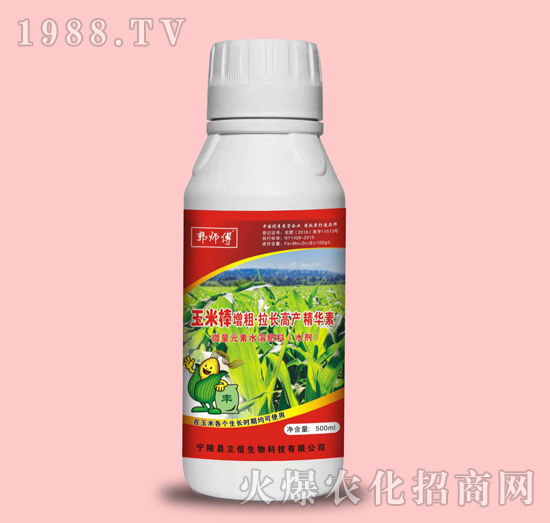 玉米棒增粗·拉長高產精華素-郭師傅-立信生物