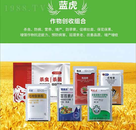 小麥增產套餐-藍虎品牌