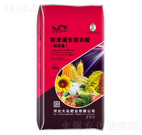 純硫基防滲漏長效功能-大化肥業