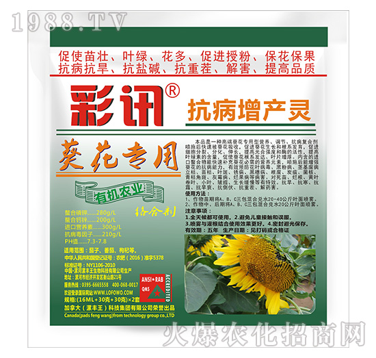 (zhun)ÿa(chn)`-Ӎ-S