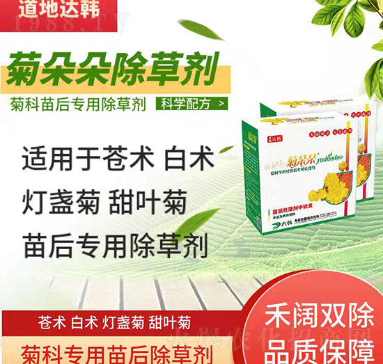 菊科除草劑-菊科苗后-菊科專(zhuān)用-大韓