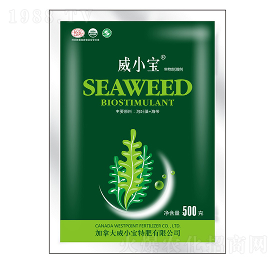 500g̼-С-巉