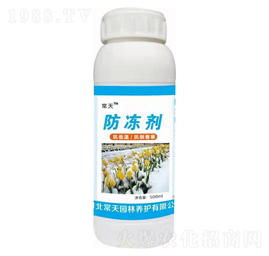 防凍劑 常天