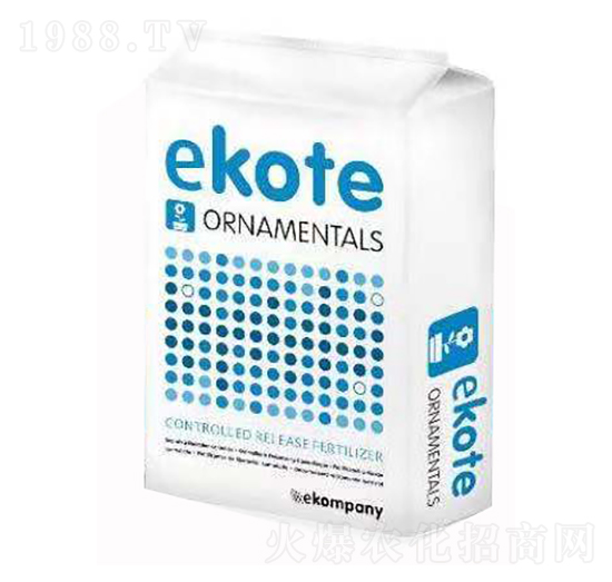 m׿ķ ԭbMORNAMENTALS ekote ؐm