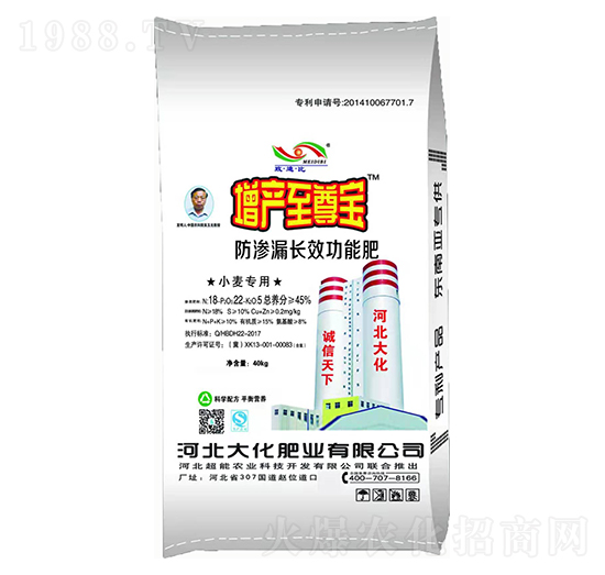 小麥專用防滲漏長效功能肥-增產寶-大化肥業