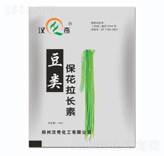 L-h滯