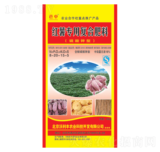 t팣ÏͺϷ8-20-15-5-rI