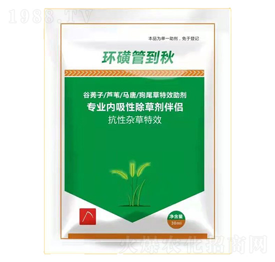 hǹܵ-֮