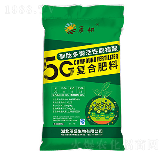 5GĶ΢ԸֲͺϷ20-8-8-5G--ïʢ