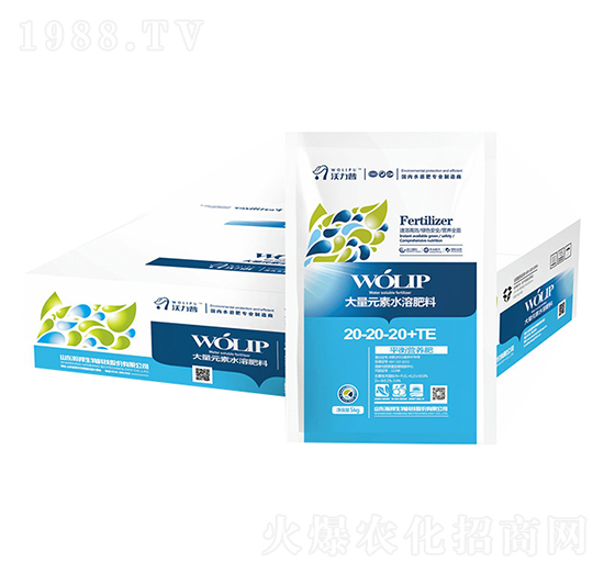 ƽIB20-20-20-嫰