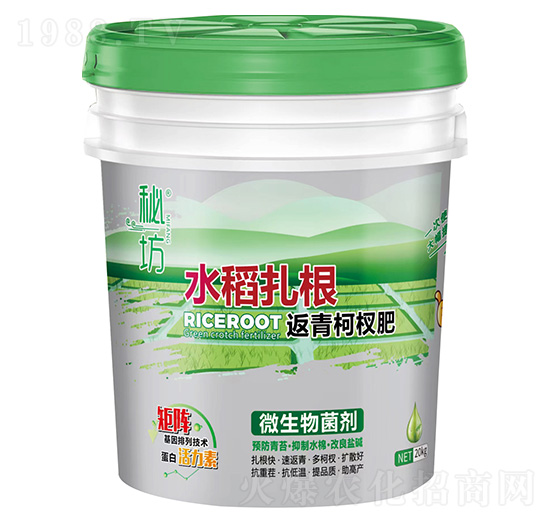 水稻扎根返青柯權肥-秘坊-建華農業