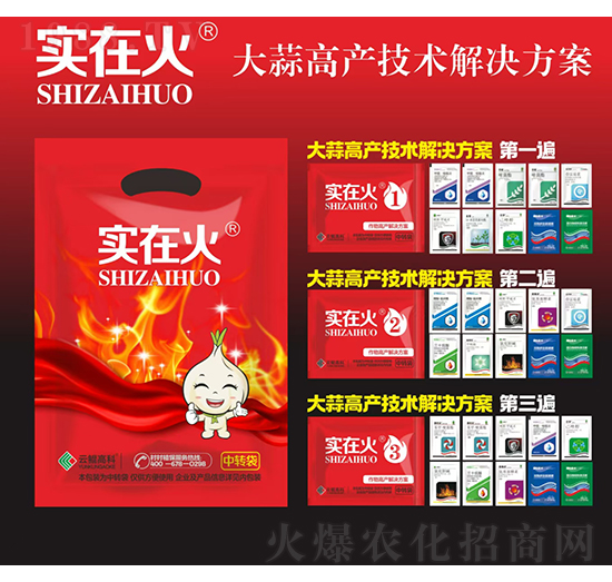 大蒜高產(chǎn)技術(shù)解決方案-實(shí)在火-紅太陽