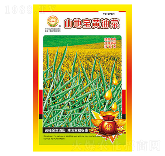 油菜種子-山地寶黃油菜-太樂種業