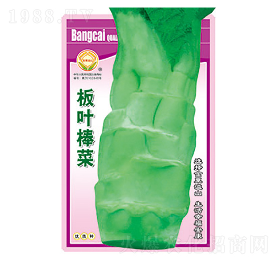 棒菜種子-板葉棒菜-太樂種業