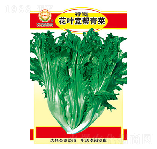 青菜種子-特選花葉寬幫青菜-太樂種業