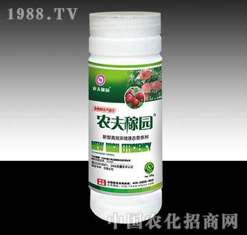 rڈ@_Ҙ䣩