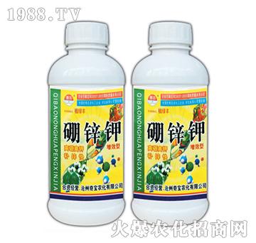 1000g\-挚r
