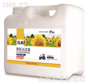 տø߷ӏ(f)ЙCҺʣ5kg-̸-ɭr(nng)I(y)