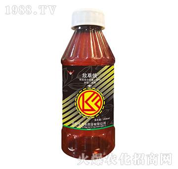 1000mlݿ-