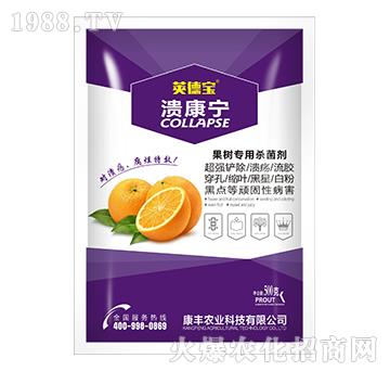 果樹專用殺菌劑-潰康寧-莢德寶-康豐農業
