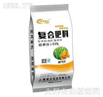 復合肥料28-13-10-苗壯實業