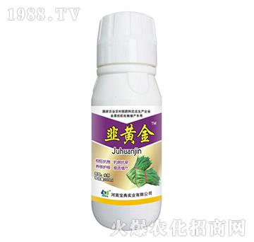 S100ml-䌍I(y)