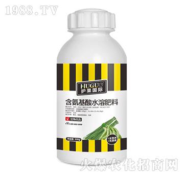 500g豆角優選含氨基酸水溶肥-護果