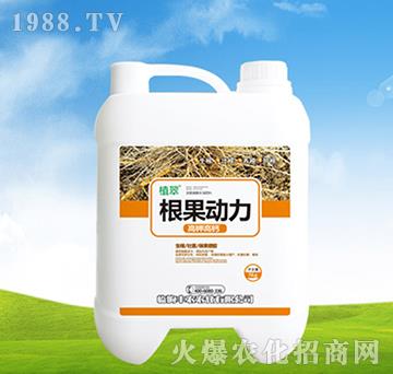 5kg-ֲ-Srr