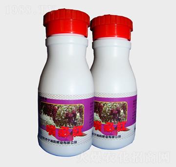 ؼt~-퍷ʘI