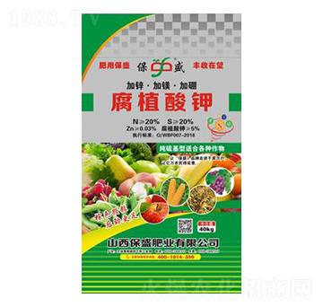 ֲ-ʢʘI